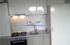 Apartament 2 camere Jiului complet mobilat si utilat s020 - 21