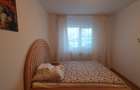 Apartament cu 5 camere de inchiriat -Micalaca - 11