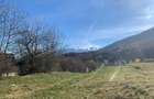 Teren 1000 mp intravilan, Tohanita, jud. Brasov - 4