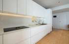 Penthouse premium cu vedere la lac | Parc du Lac, Iancu Nicolae - 11