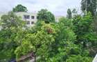 APARTAMENT 3 CAMERE CU VEDERE MIXTA SI LIBERA - 4