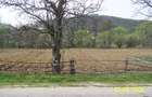 Vad 22000 mp INTRAVILAN BOGATI DJ702C jud Arges - 2