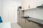 PIATA NICOLINA, APARTAMENT CU O CAMERA DECOMANDAT, MUTARE IMEDIATA - 4