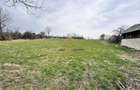 Teren de vanzare Blagesti Bacau - 5
