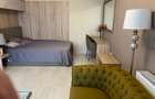 Ofer la închiriere apartament 2 camere,  Coresi zona pietonală, Zaharia Stancu - 4