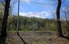 Teren 10,000mp Nemtisor / DJ 155C - 5