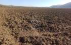 Teren 7500 mp-ideal agricultura, invetitie-Sarata - 1