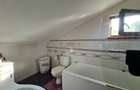 Vila + Afacere 15.000mp Clinceni - 22
