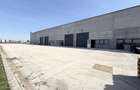Hale industriale de inchiriat – Oradea, langa Parcul Industrial I - 7