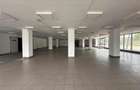Spatiu comercial sos. Pacurari Iasi, langa Mall Moldova, 1310mp - 14