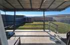 Oportunitate !Casa de vanzare ,jucu,106 mp,teren364mp 195000euro - 15