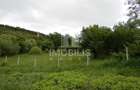Teren intravilan | Budiu Mic | 994 mp - 5
