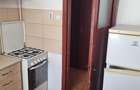 Apartament 2 camere, Etaj 3, Terezian - 2