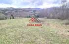 Teren extravilan Valea Doftanei 20.500 mp 6e mp - 6