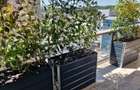 Apartament 2 camere 52mp | 0 comision | Cortina Iancu Nicolae | TVA inclus - 13
