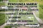 Pensiune + 2 Case, Piscina, Iaz, Garaj, Curte 3.200 mp, panouri |VIDEO - 1