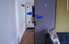 Apartament de 2 camere - Tractorul - Brasov - 5