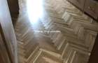Vanzare casa cu 5 camere Lacul Tei - 9