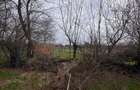 Jilava - Centura Bucuresti - teren intravilan 423 mp - 6