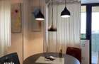 STUDIO PANTELIMON- CENTRALA PROPRIE, MOBILAT/UTILAT MODERN - 7