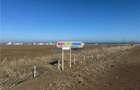Teren intravilan 47.400 mp, Vama Veche, 200 m de Marea Neagra - 6