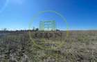 Teren intravilan 1111mp Ghercești cu vizibilitate panoramică  la drumul expres - 2