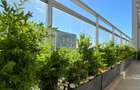 Penthouse de Vanzare | Premium | Metrou | Belvedere Residence - 20