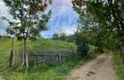 Teren 6,865mp Voroneț / Gura Humorului / Bucovina - 21