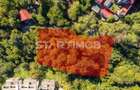 Teren intravilan zona Schei Brasov - 18