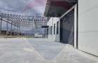 Spatiu industrial premium Balotesti Aeroport Otopeni - 6