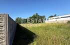 Teren Bucovat-Bazosu Nou, intre case, comision 0 - 1