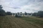 Teren de vanzare 8700 mp cu un front de 30m in Sura Mare - 3