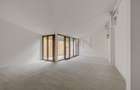 REC3001690 Spatiu Comercial Parcul Carol 60mp - 2