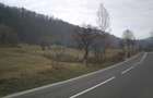 Teren intravilan jud. Mures - 3