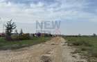 Teren 589 mp  - Eden Forest Gulia / Tărtășești - ideal casa sau investiție - 13