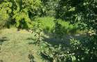 Casă cu teren de 5.700 mp, Pădureni,se accepta si schimb cu apt in Iasi - 12