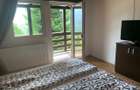 Cabana la munte Colibita jacuzzi foisor