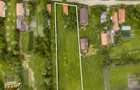 Refugiu autentic in Marcusa, 2.619 mp +casa traditionala, 24 ml Fs, utilitati, l - 6