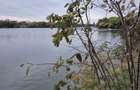 Green Lake | Lacul Baneasa | Sisesti | Vila cu 4 apartamente - 14