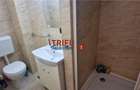 Apartament în Dealul Furcilor de inchiriat - 8
