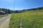 Teren intravilan Traisteni, Valea Doftanei – 2.290 mp, deschidere mare, padure - 5