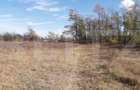 Teren 7240mp, zona Prelungirea Panduri - 4