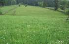 Teren intravilan situat in Traiteni,Valea Doftanei - 2