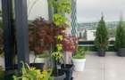 Penthouse de inchiriat in Borhanci, terasa generoasa - 10