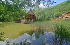 RECO, Cabana pe apa in Padurea Neagra, Bihor - 2