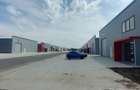 Depozite de inchiriat TBM Grup industrial park Chitila | Acces TIR - 4