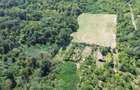 Teren intravilan de vanzare, Paleu, Bihor - 3