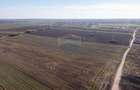 Vanzare teren intravilan 7.500 mp Sabareni - 5