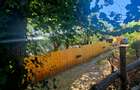 Teren intravilan 2322 mp, Păcuri – vedere superbă spre pădure! - 8