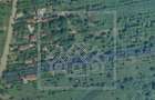 Teren in Daia, 2000 mp - intravilan, cu PUZ - 4